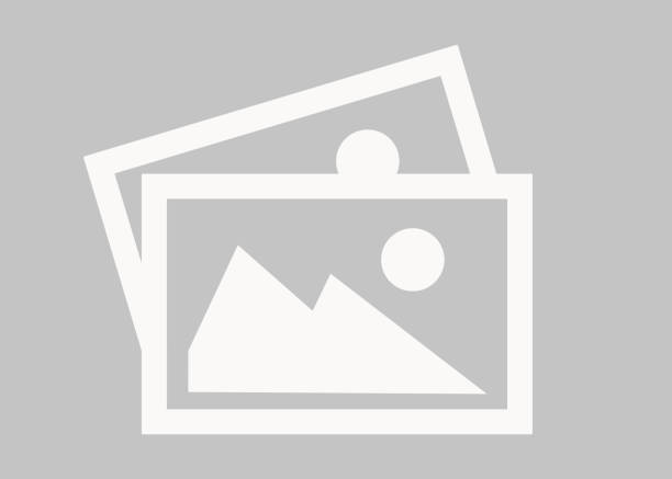 20 FLYER SALCANO VİTESİZ MİNT YEŞİL