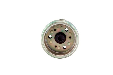 CG MANYETO ROTOR