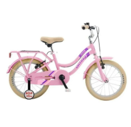 20 FLYER SALCANO VİTESİZ PEMBE MOR