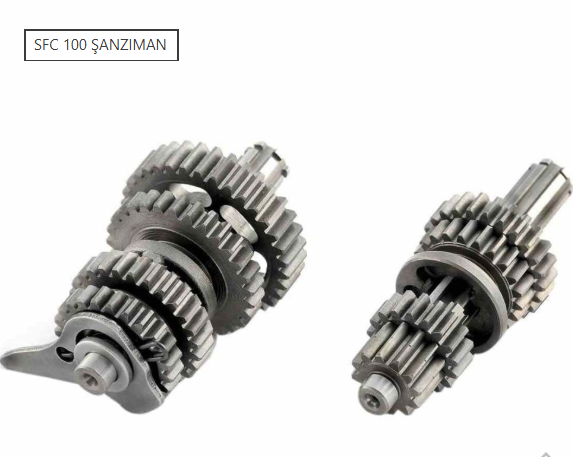 MONDİAL SFC 100 ŞANZIMAN SET