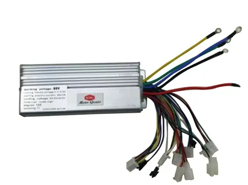 E BİKE BEYİN 48V/60V 35A