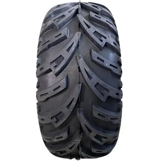 22X10-10 TL BL770 ATV DIŞ LASTİK BİLLAS